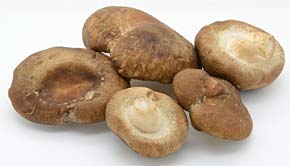 Fresh Shiitake mushrooms, natural and raw.