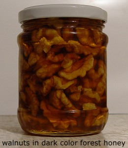 Walnuts in forest dark honey.