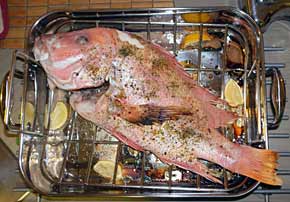 Snapper fish Red Emperor raw