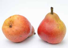 Raw pears fruits reddish color