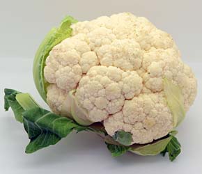 Cauliflower head, whole raw natural.