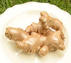 Raw fresh ginger root image