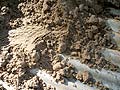 Picture os sand used for refractory mortars.