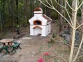 Picture of finished wood fired oven built in a forest-y environment.