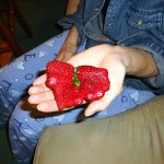 Photo of a distorted strawberry.