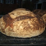 Baking sourdough breads in quantity.