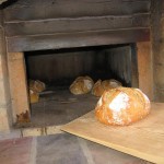 Making own sourdough in multiple bread batches.