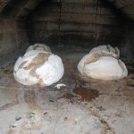 backofen first home made breads baked in our wood oven