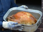 large thanksgiving turkey photographed